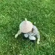 Ikor:)の画像