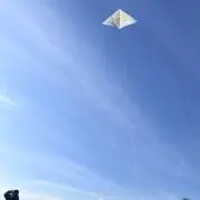 シマコの画像