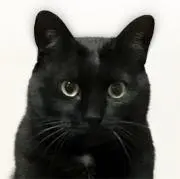 luckyboy9057の画像