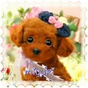 mimi