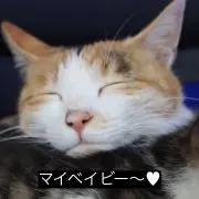 kimura