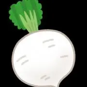 コンサイ