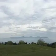 ようこ