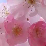 ☆断捨離中☆Kの画像