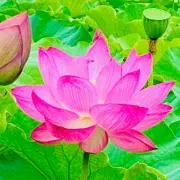 ゆっち（断捨離中）の画像