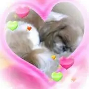 ゆう