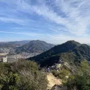 MSの画像