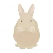 ponpoco