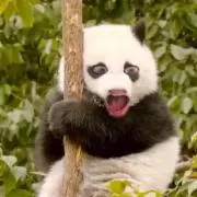 ジム兄さん