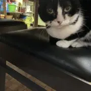 丸尾☆即購入歓迎です！❕☆の画像