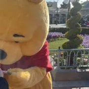 くらんぼの画像
