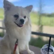 とろぴ農園 山梨の自然豊かな畑