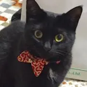 Ushinosukeの画像