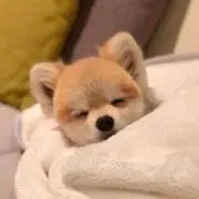 なつ