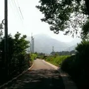 ほりの画像