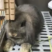 とも