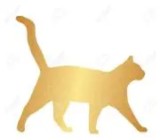 金猫たろうの画像