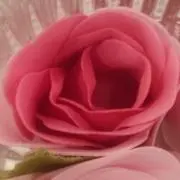 mgの画像