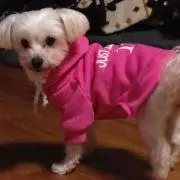 aki
