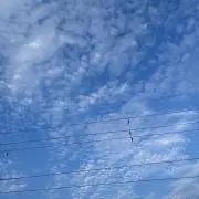 AHの画像