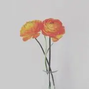 mmmiki87の画像