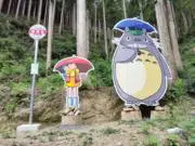 みわち