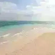 【断捨離中】fm natuの画像