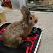チカチカの画像