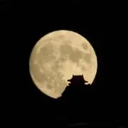 ⭐️ゴールデンムーン⭐️の画像