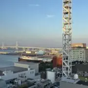 toriの画像