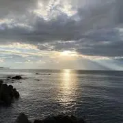 こたろうの画像
