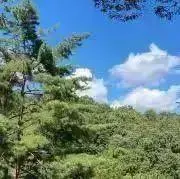 しおたの画像