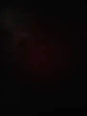 B5の画像