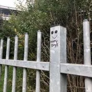 Manamiの画像