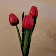お買い物大好きの画像