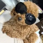 RE:STYLE＊°.の画像
