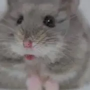 あめの画像