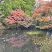 はるうらら⭐️の画像