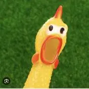 手羽先