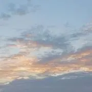 りんの画像