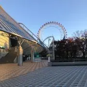 たまの画像