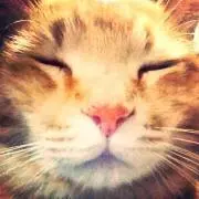 あかねこʕ•ᴥ•ʔ コスメ