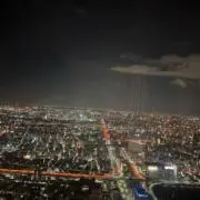 鹿島アントラーズ LEO SILVA 4番 ユニフォーム - メルカリ