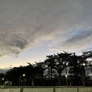 ⭐︎チビ介⭐︎の画像
