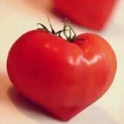 まゆ