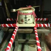 ガジュマル