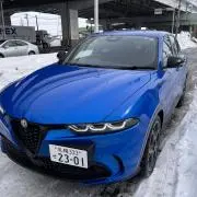 アルファの画像