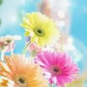はな