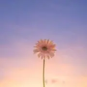 riiの画像