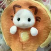 cocoの画像